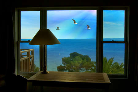 View through the window