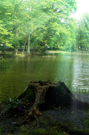 Lake and forestの写真素材