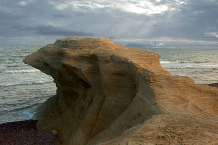 bird rockの写真素材