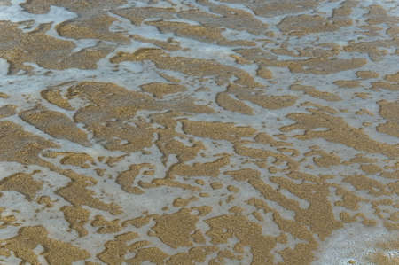 detail of sea water arriving on the beach の写真素材