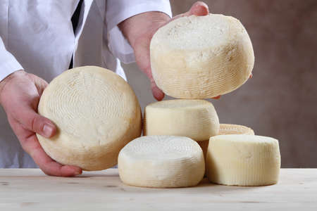 Pecorino cheese - typical product Italia