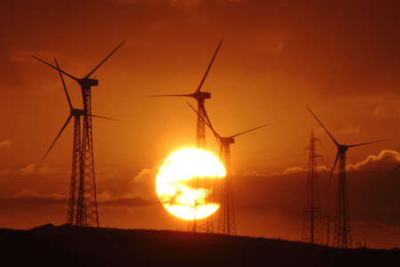 stretched out in the countryside with wind turbines and the setting sun
