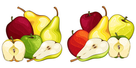 Fruit mix isolated vector illustration. Fruits colorful illustrations isolated on white background.  Fruit collection.のイラスト素材