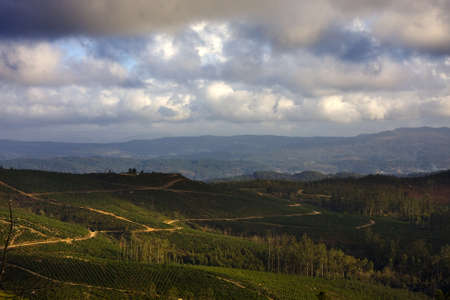 coastal landscape, sunriseの写真素材