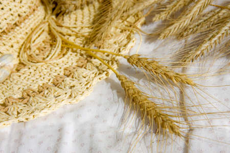 cerealの写真素材