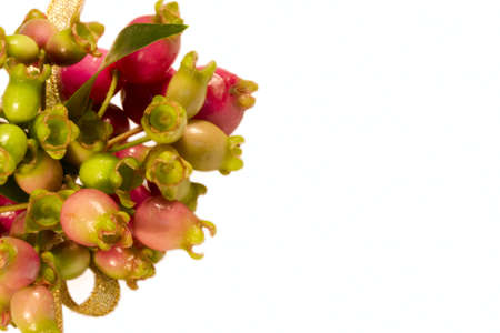  natural adornment of Christmasの写真素材