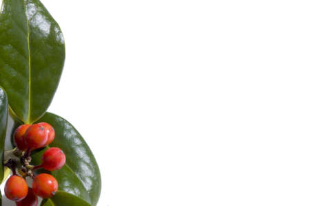 christmasの写真素材