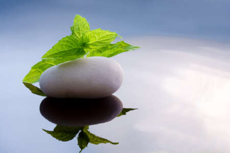 spices, herbsの写真素材