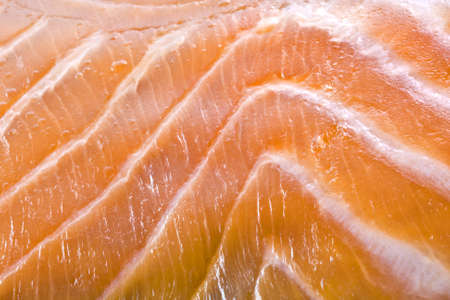 salmonの写真素材