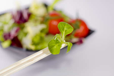 salad, vegetable dietの写真素材