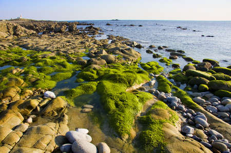 coastの写真素材