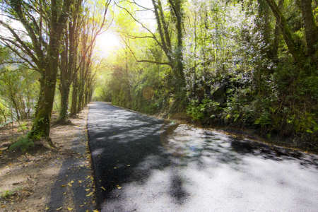 riverの写真素材