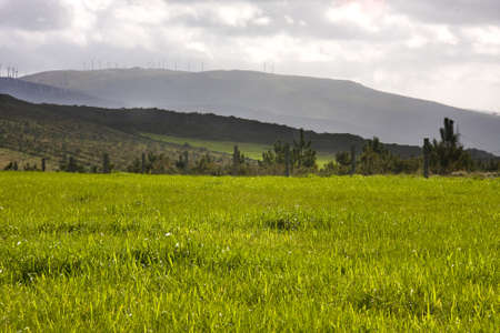 fieldの写真素材