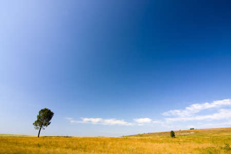 fieldの写真素材