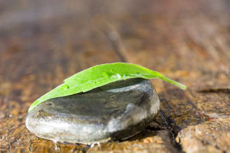 autumnの写真素材