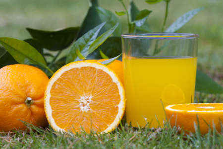 orange juice, health and balanced dietの写真素材
