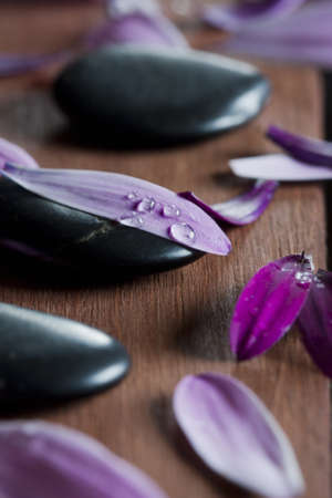 stones, spaの写真素材