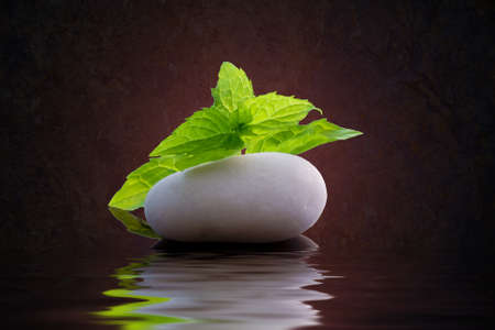 stone and green leaves with reflectionの写真素材