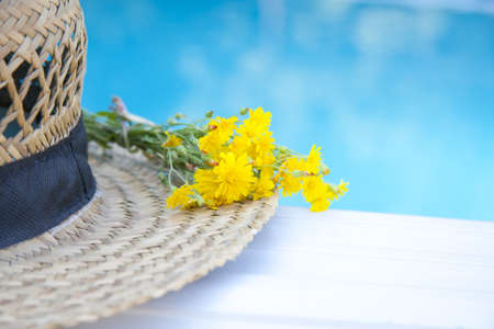 summerの写真素材