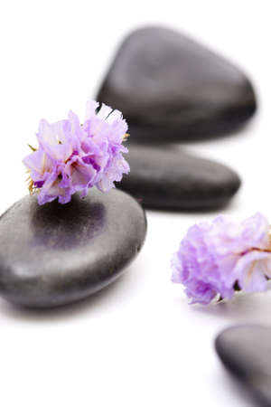 stones with purple flowerの写真素材