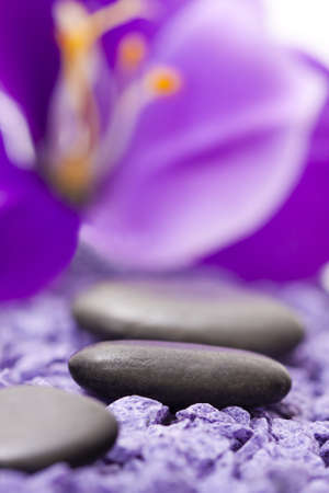 stones with purple flowerの写真素材