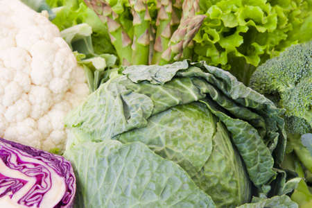 various plants and vegetables healthy dietの写真素材