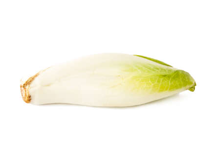 endive salad and fresh isolated on white backgroundの写真素材