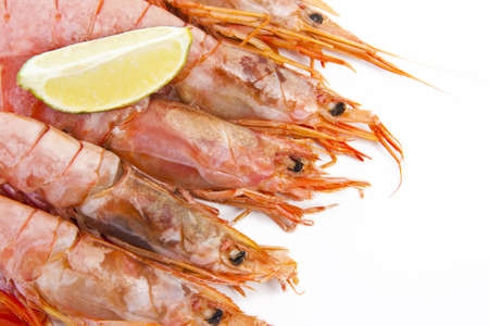 fresh seafood, shrimps and crustaceansの写真素材
