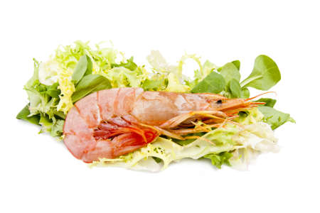 fresh seafood, shrimps and crustaceansの写真素材