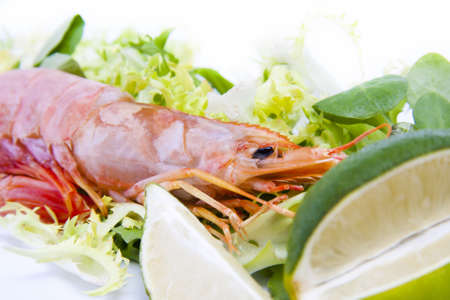 fresh seafood, shrimps and crustaceansの写真素材