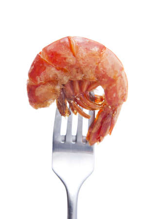 fresh seafood, shrimpの写真素材