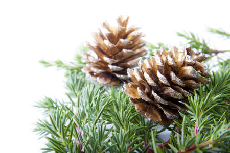christmas decorations, backgrounds, frames and cards