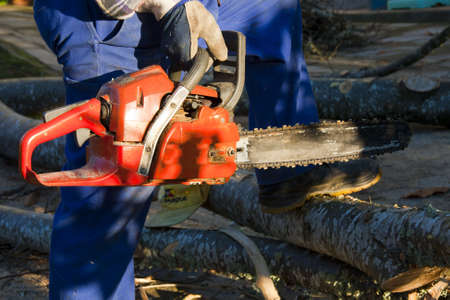 lumberjack with chainsaw in hand to cut treesの写真素材