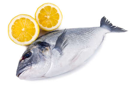 fresh raw fish with white background
