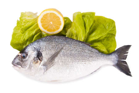 fresh raw fish with white background