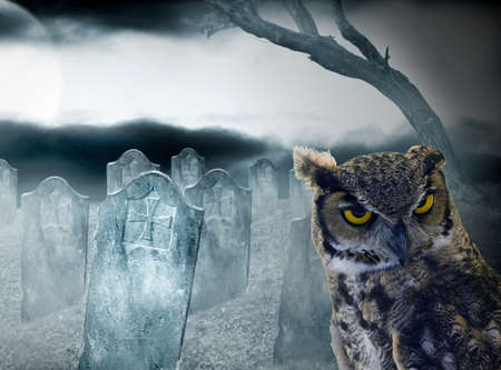 halloween owl in the cemetery at night with full moonの写真素材