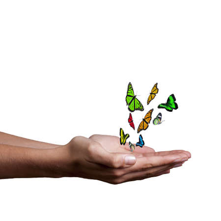 hand with butterflies and white background