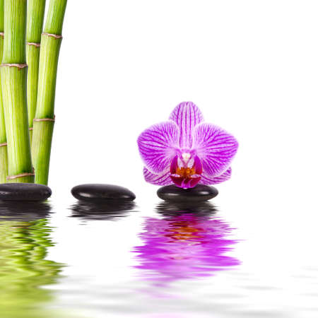 spa decoration conceptの写真素材