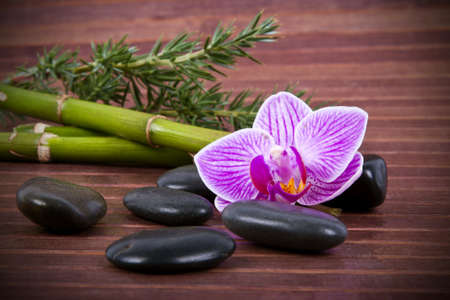 spa decoration concept