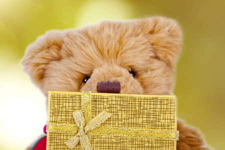 loving teddy bear isolated on white backgroundの写真素材