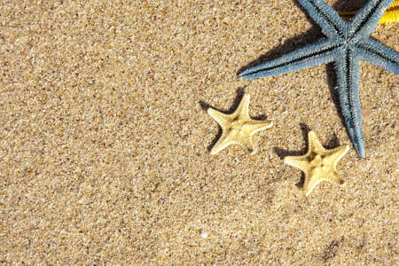 summer background with starfish