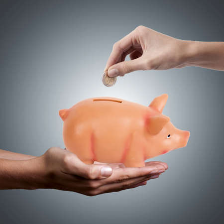 hands saving money in piggy bank pig