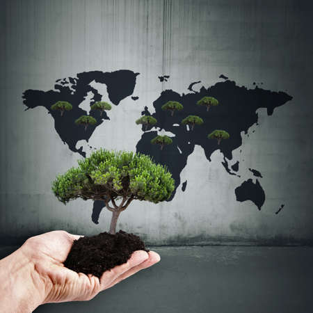 concept to restore forests
