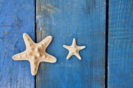 starfish on blue woodenの写真素材
