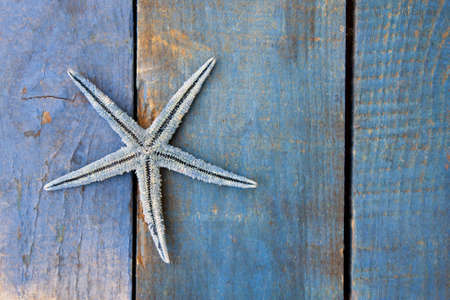 starfish on blue woodenの写真素材