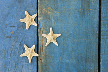 starfish on blue woodenの写真素材