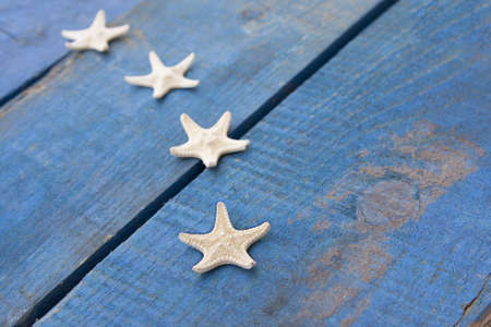 starfish on blue woodenの写真素材