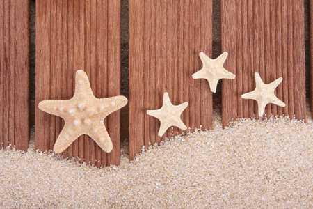 starfish and woodの写真素材