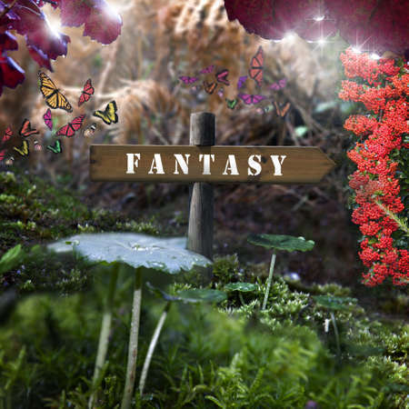 fantasyの写真素材