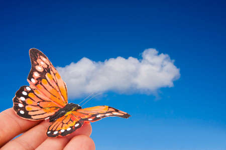 colorful paper butterflies